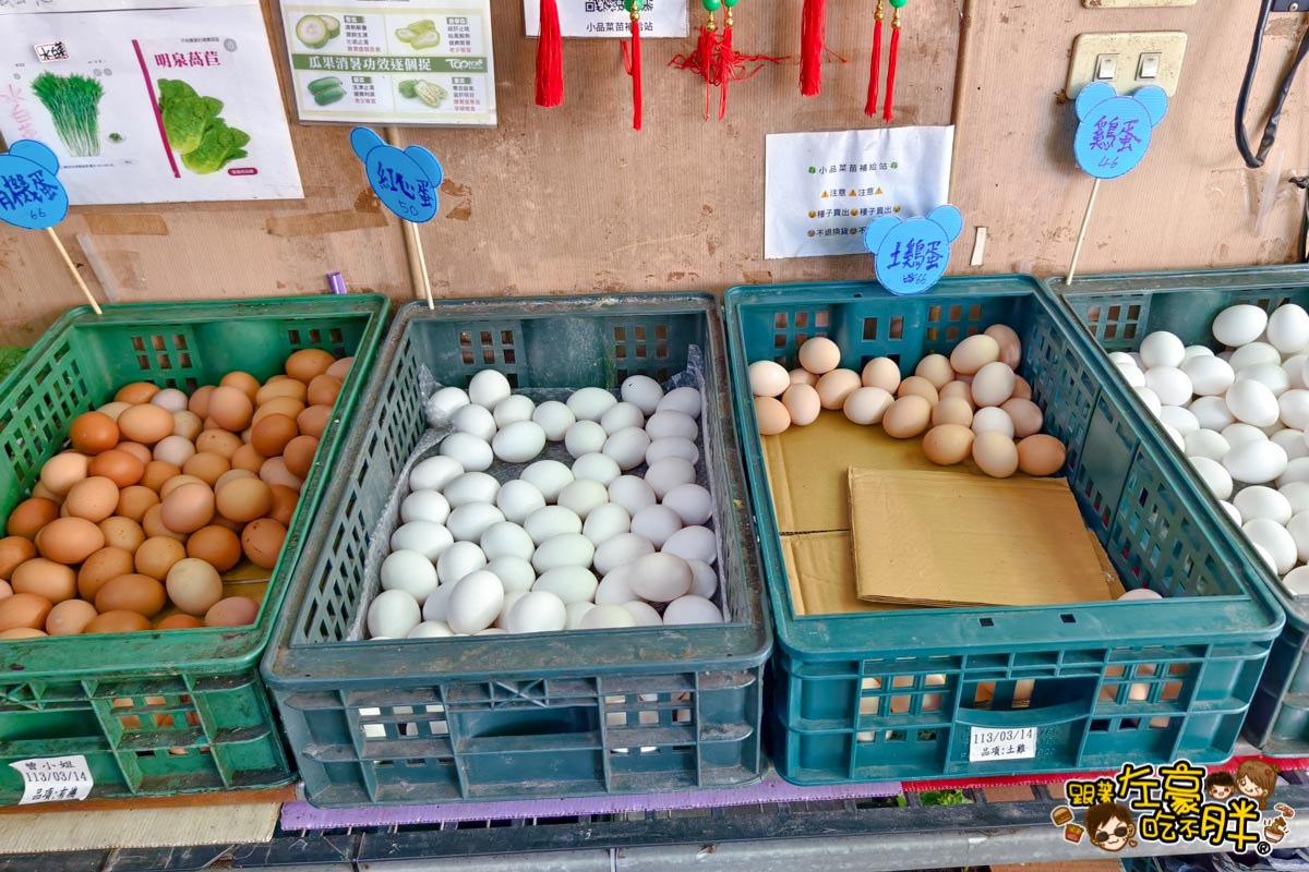 多肉植物,小品菜苗補給站,植物園,菜苗,蔬菜,農場,高雄植物店,高雄農場,鳳山傢俱店