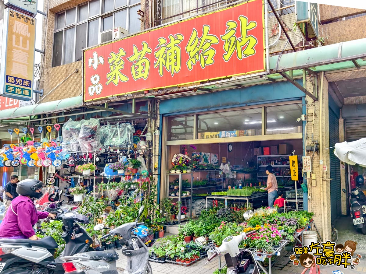 多肉植物,小品菜苗補給站,植物園,菜苗,蔬菜,農場,高雄植物店,高雄農場,鳳山傢俱店