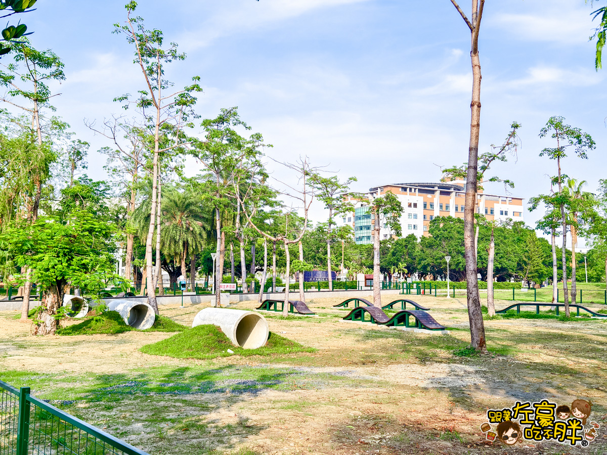 網站近期文章：高雄最新狗狗公園,中正公園限定,寵物友善主題樂園,溜狗放電捷運景點！帶毛小孩快衝！