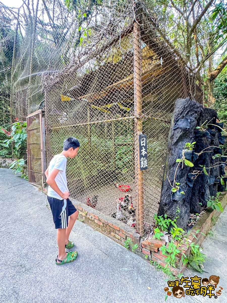 三桃山森林休閒園,三桃山遊樂園,情侶約會,旗山,親子景點,遊樂園,高雄景點