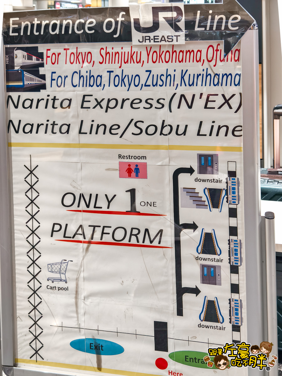 NEX,NEX票價,成田機場交通,新宿,東京車站