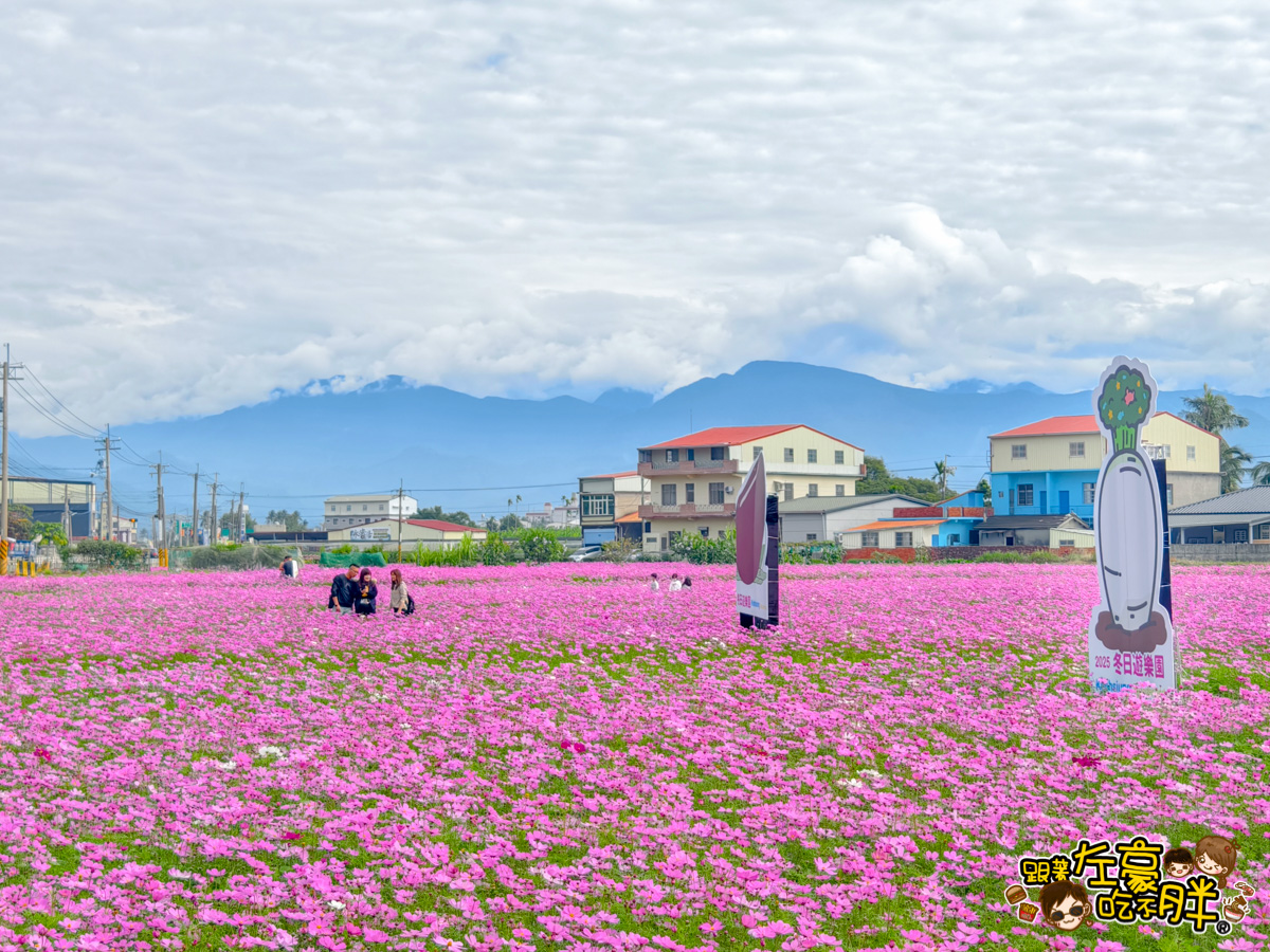 網站近期文章：2025美濃杉林花海一日遊,美食景點推薦,必拍全台最大花海,再吃客家菜、粄條、美濃湖一起玩！