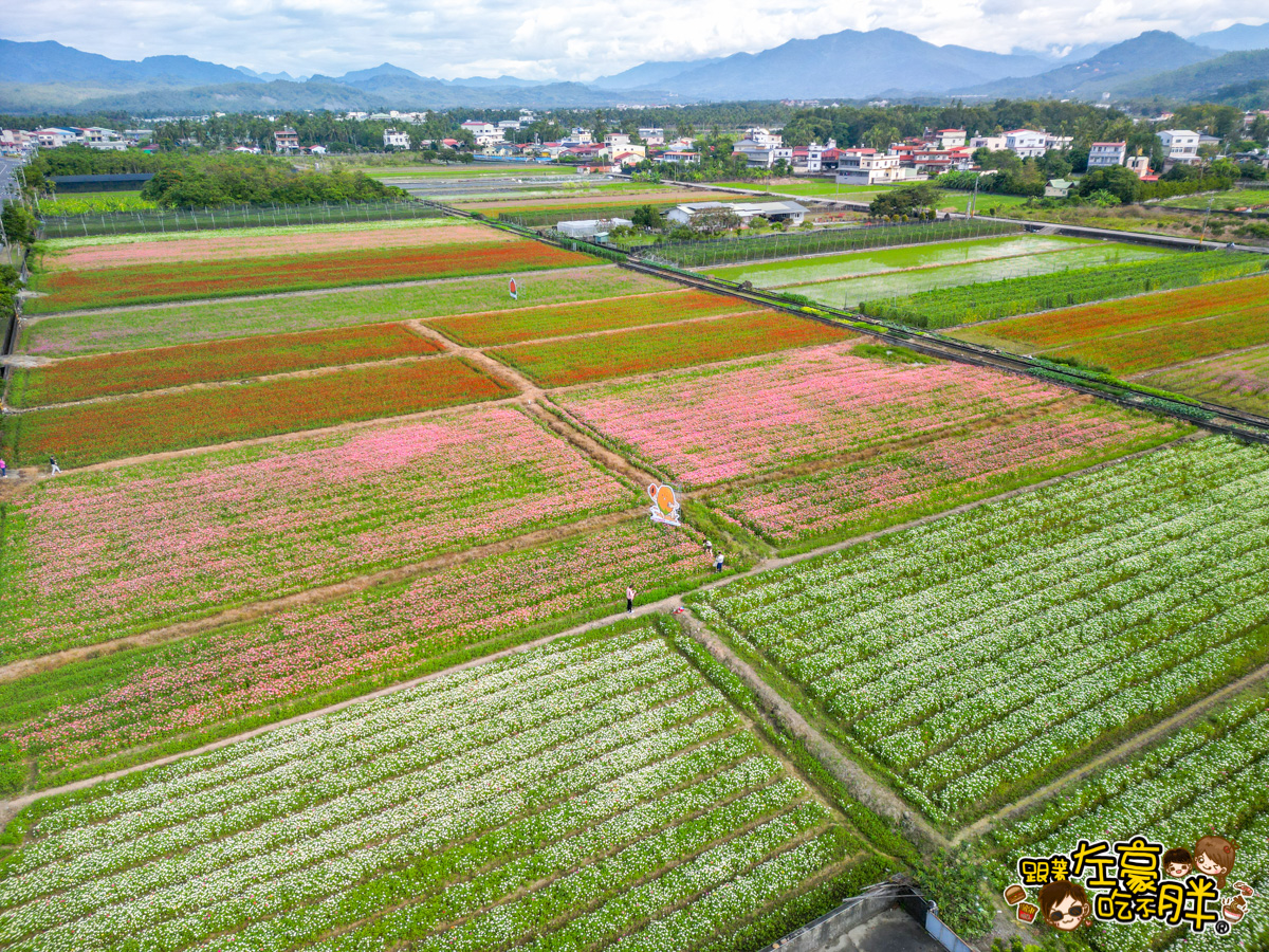 冰品,客家菜,小吃,採果,約會景點,美濃旅遊,美濃景點,美濃湖,美濃美食,美濃花海,菸仕物所,高雄旅遊,麻糬