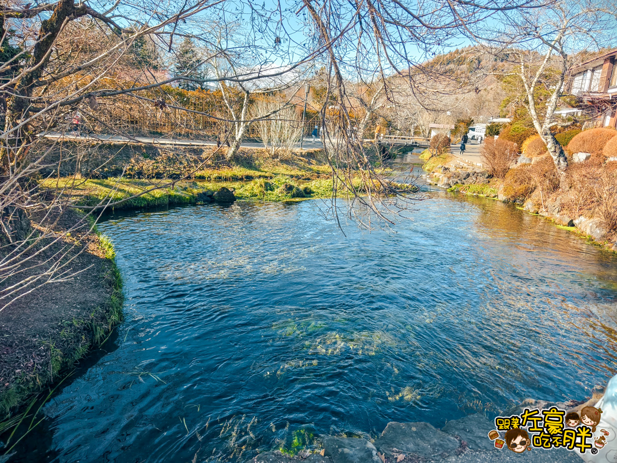 富士山,山梨,忍野八海,忍野八海交通,忍野八海位置,忍野八海門票,日本旅遊,日本景點