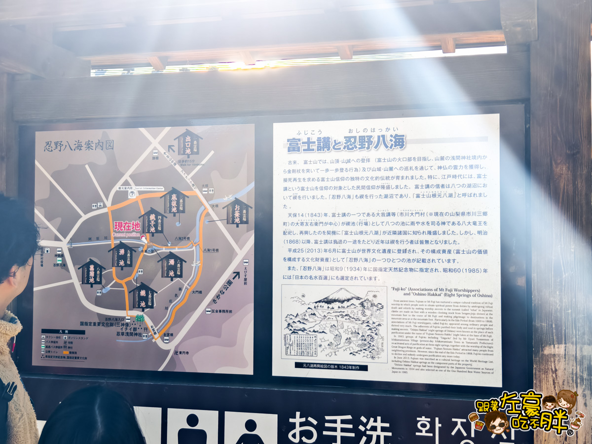 富士山,山梨,忍野八海,忍野八海交通,忍野八海位置,忍野八海門票,日本旅遊,日本景點