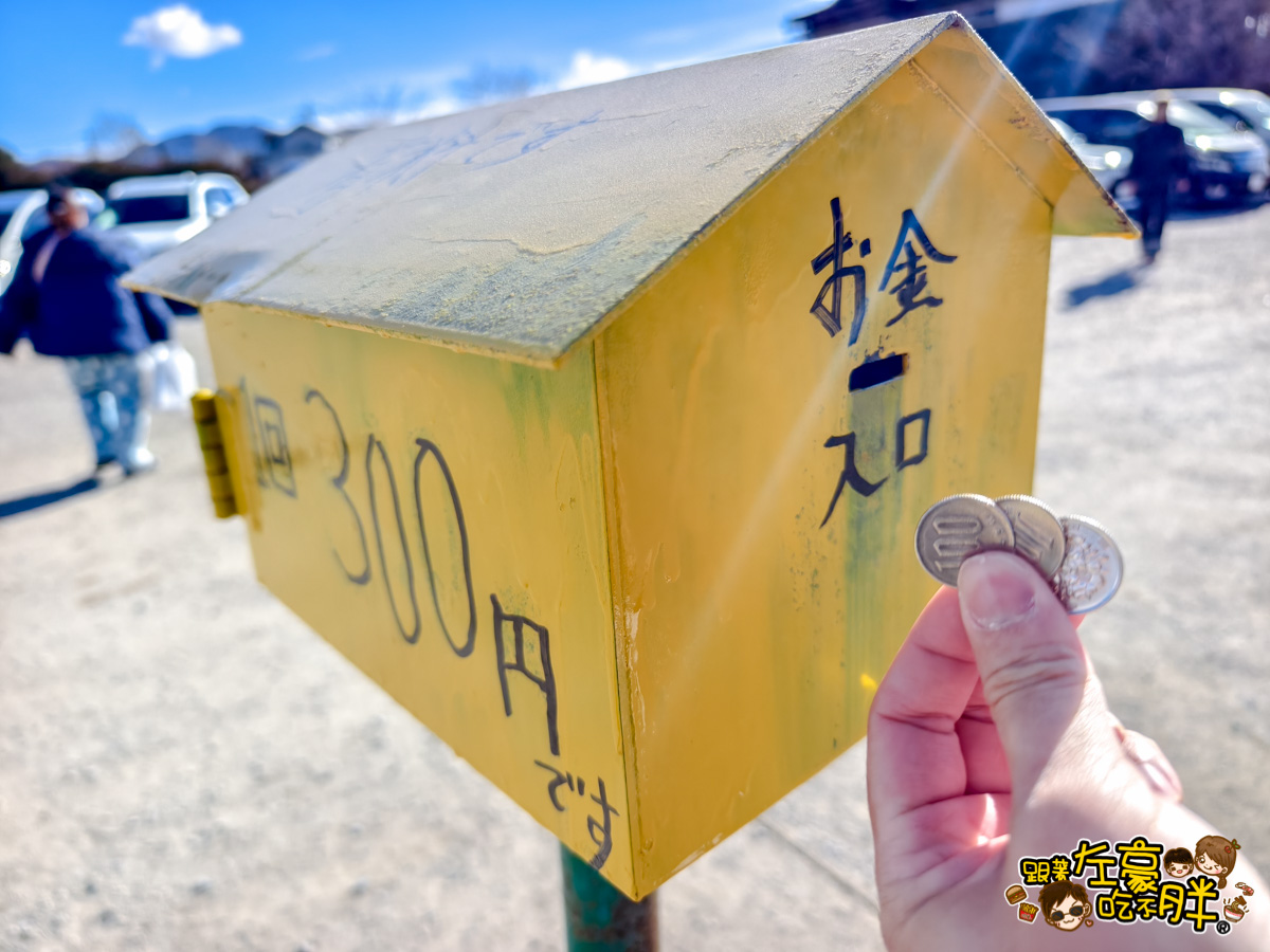 富士山,山梨,忍野八海,忍野八海交通,忍野八海位置,忍野八海門票,日本旅遊,日本景點