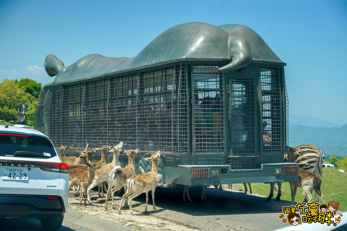 Jungle bus,九州景點,九州自然動物園,九州自然動物園叢林巴土,九州自然動物園門票,叢林巴士,日本旅遊