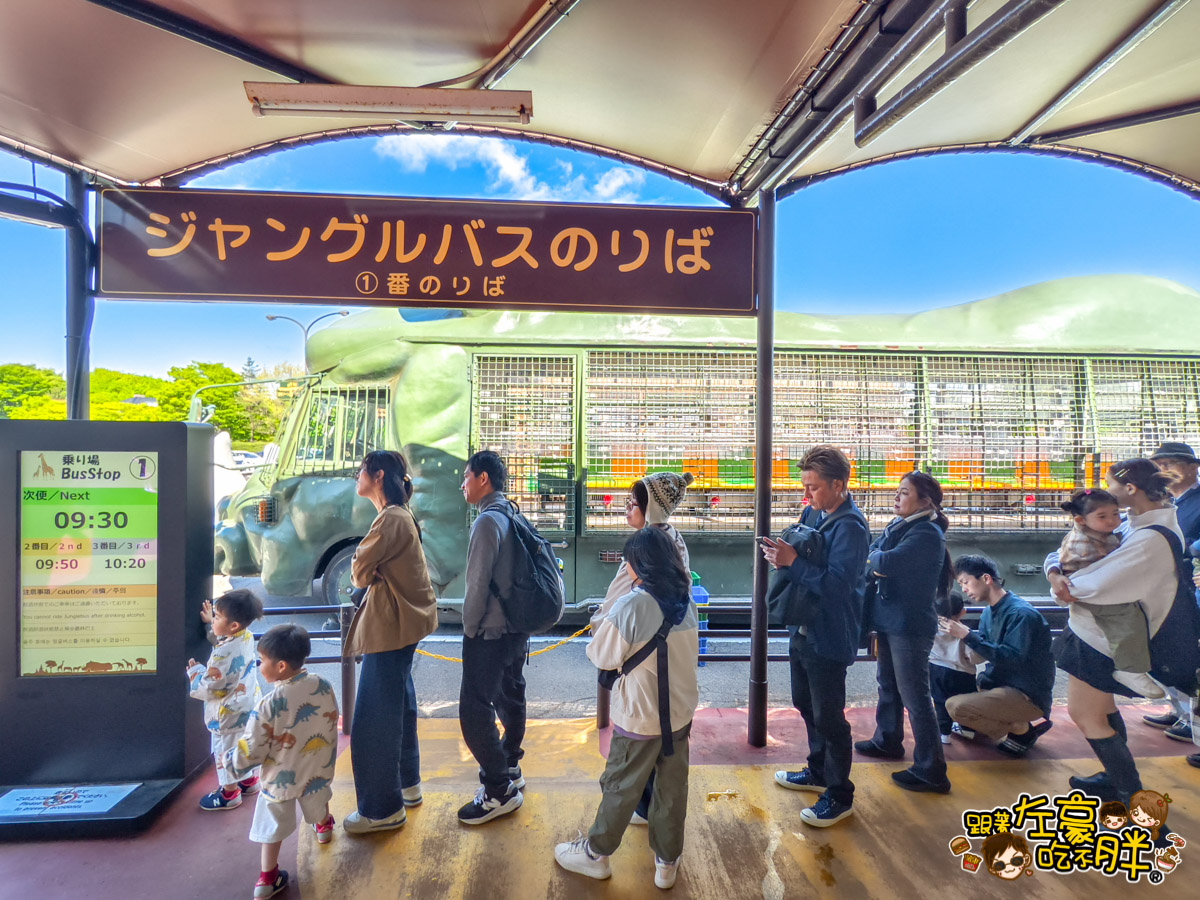 Jungle bus,九州景點,九州自然動物園,九州自然動物園叢林巴土,九州自然動物園門票,叢林巴士,日本旅遊