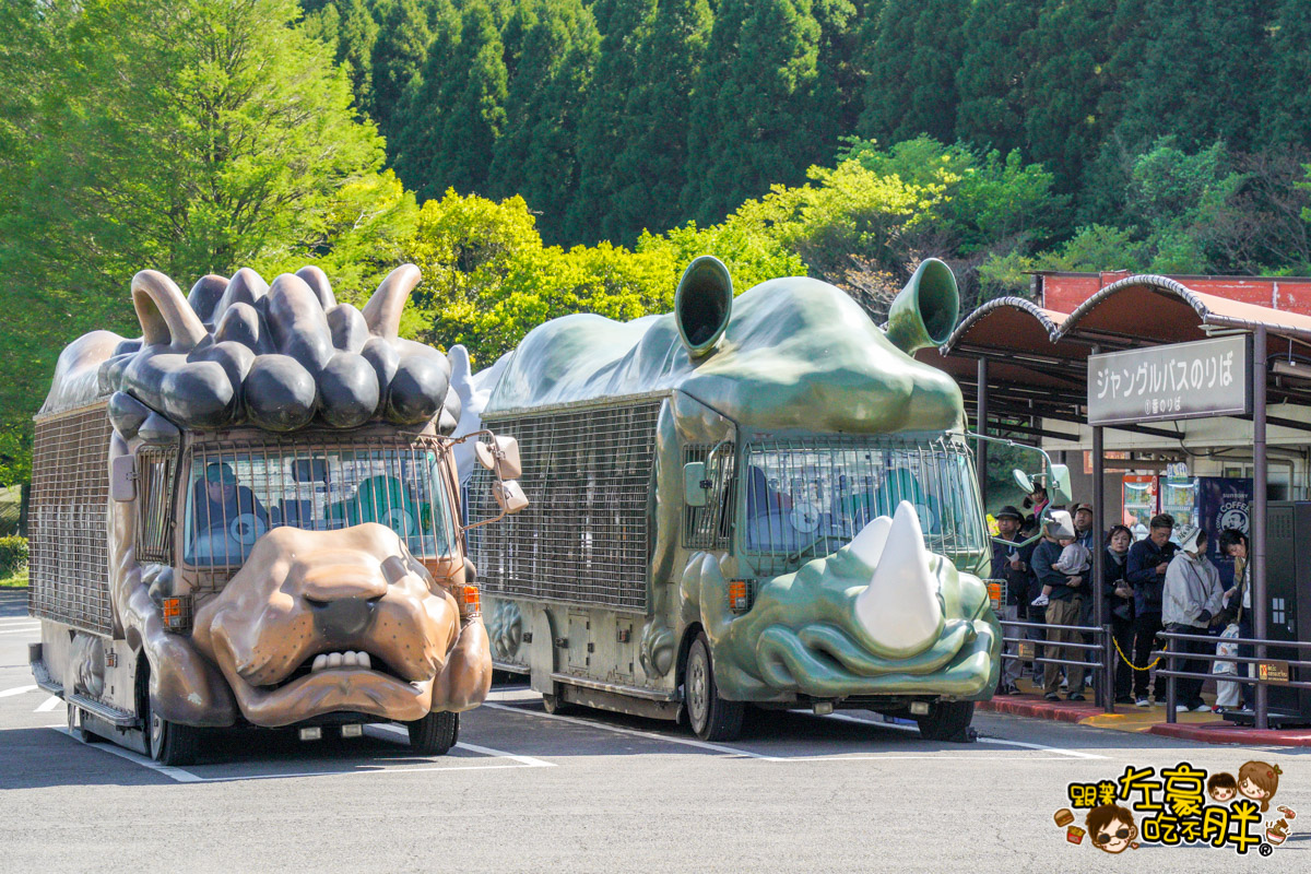 Jungle bus,九州景點,九州自然動物園,九州自然動物園叢林巴土,九州自然動物園門票,叢林巴士,日本旅遊