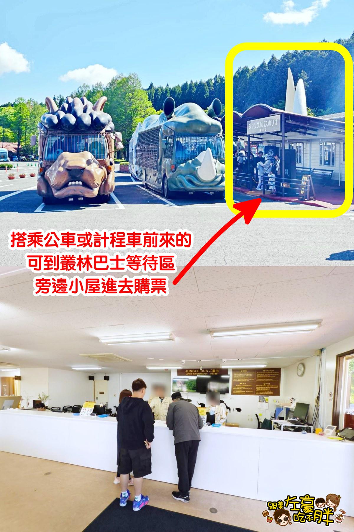 Jungle bus,九州景點,九州自然動物園,九州自然動物園叢林巴土,九州自然動物園門票,叢林巴士,日本旅遊 Jungle bus,九州景點,九州自然動物園,九州自然動物園叢林巴土,九州自然動物園門票,叢林巴士,日本旅遊