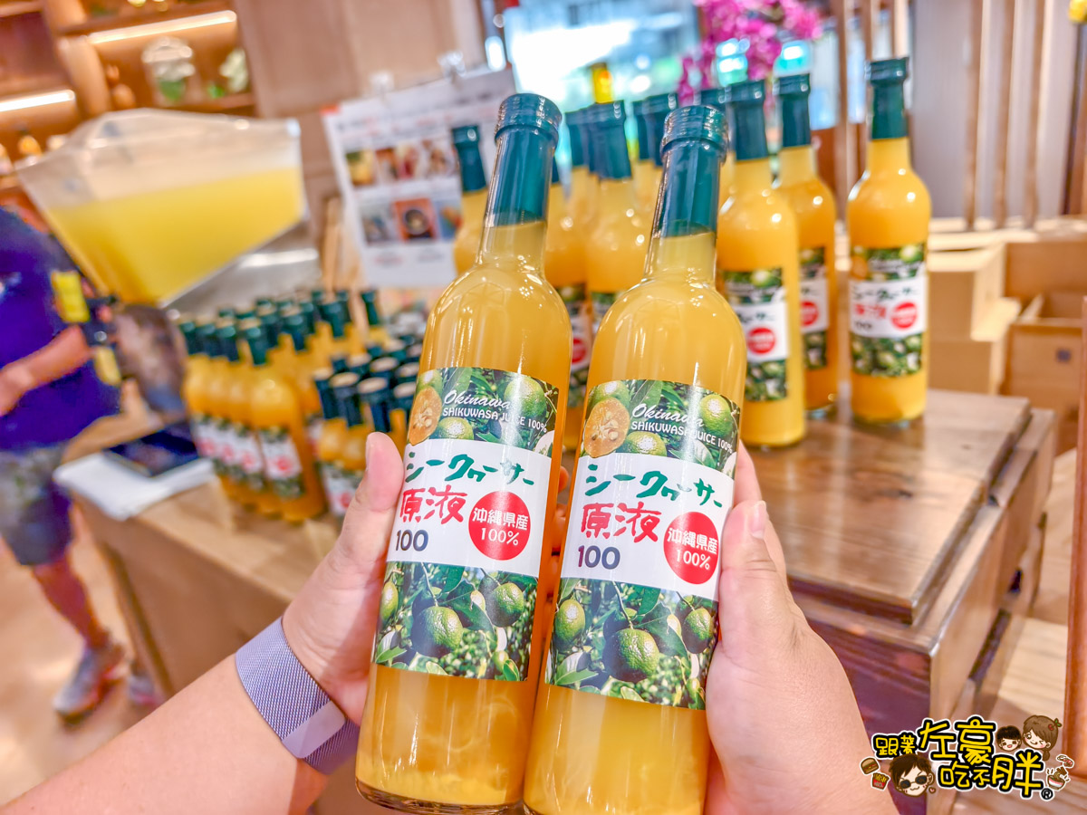 Nago pineapple park,名護,名護鳳梨園,沖繩旅遊,沖繩景點,沖繩自由行