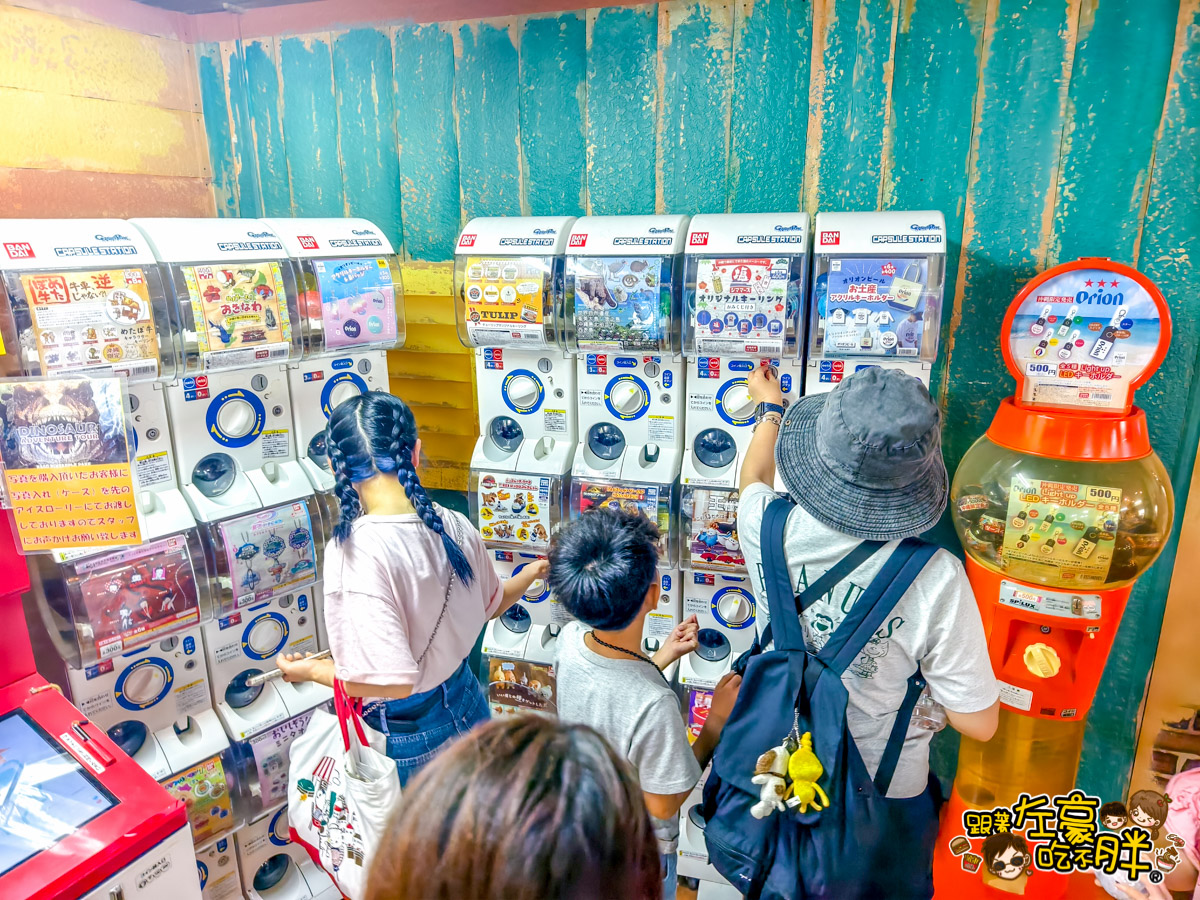 Nago pineapple park,名護,名護鳳梨園,沖繩旅遊,沖繩景點,沖繩自由行