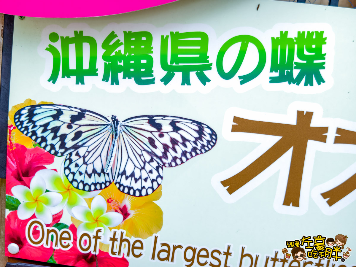 Nago pineapple park,名護,名護鳳梨園,沖繩旅遊,沖繩景點,沖繩自由行