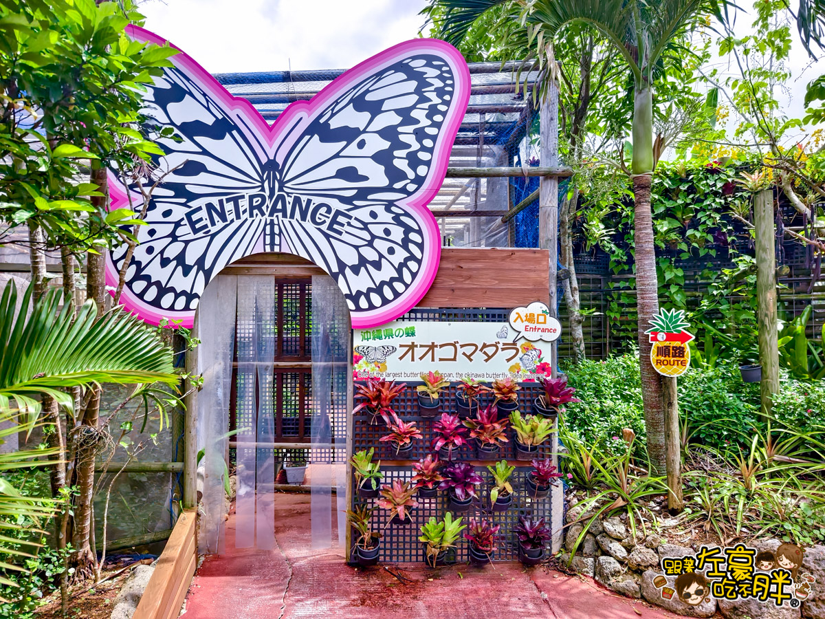 Nago pineapple park,名護,名護鳳梨園,沖繩旅遊,沖繩景點,沖繩自由行