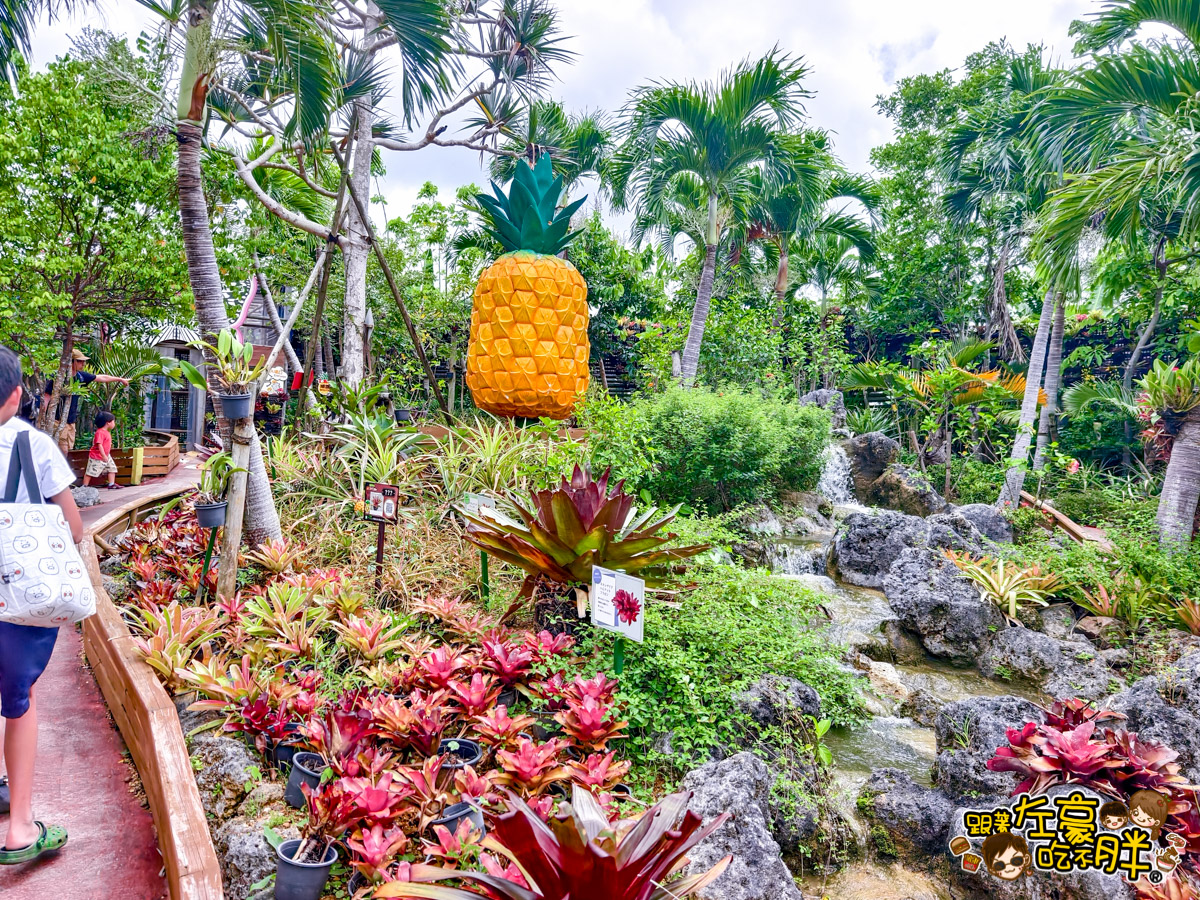 Nago pineapple park,名護,名護鳳梨園,沖繩旅遊,沖繩景點,沖繩自由行