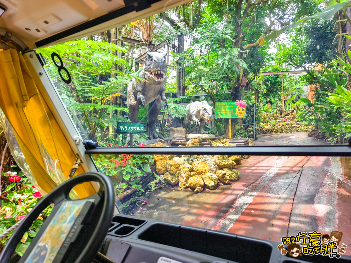 Nago pineapple park,名護,名護鳳梨園,沖繩旅遊,沖繩景點,沖繩自由行