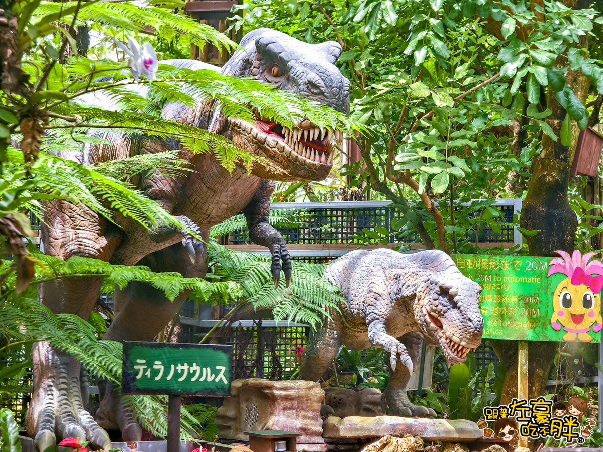 Nago pineapple park,名護,名護鳳梨園,沖繩旅遊,沖繩景點,沖繩自由行