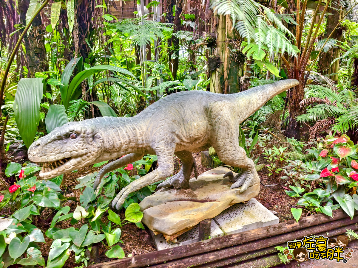 Nago pineapple park,名護,名護鳳梨園,沖繩旅遊,沖繩景點,沖繩自由行
