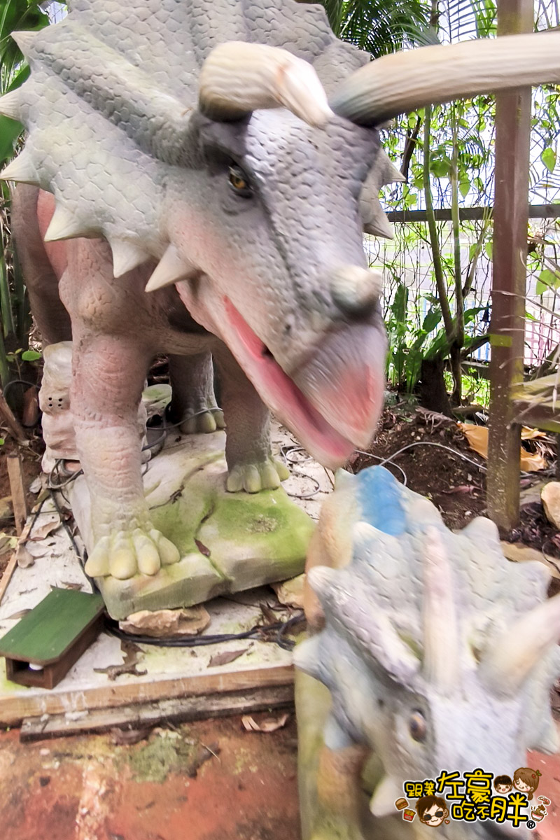 Nago pineapple park,名護,名護鳳梨園,沖繩旅遊,沖繩景點,沖繩自由行