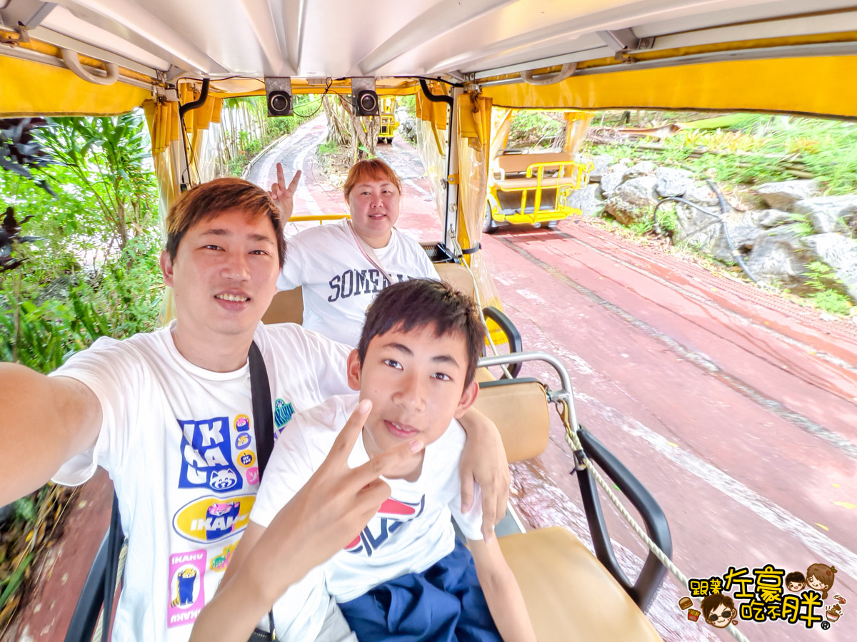 Nago pineapple park,名護,名護鳳梨園,沖繩旅遊,沖繩景點,沖繩自由行