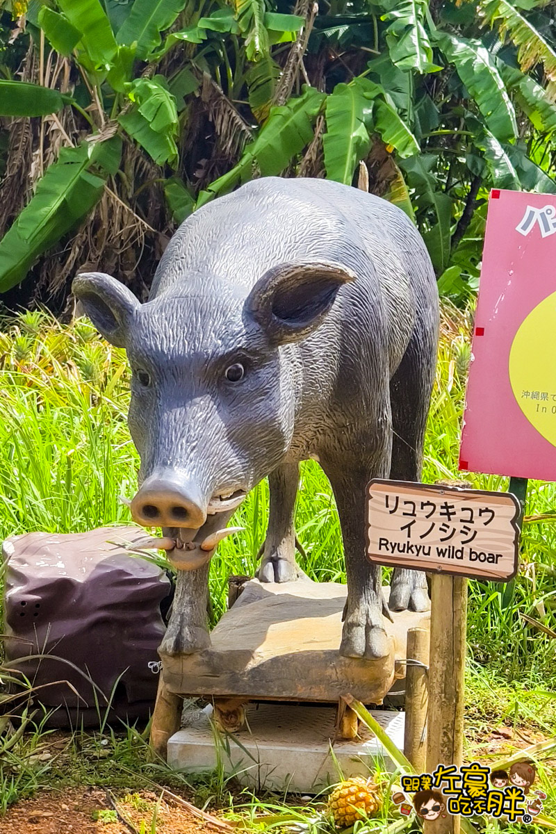 Nago pineapple park,名護,名護鳳梨園,沖繩旅遊,沖繩景點,沖繩自由行