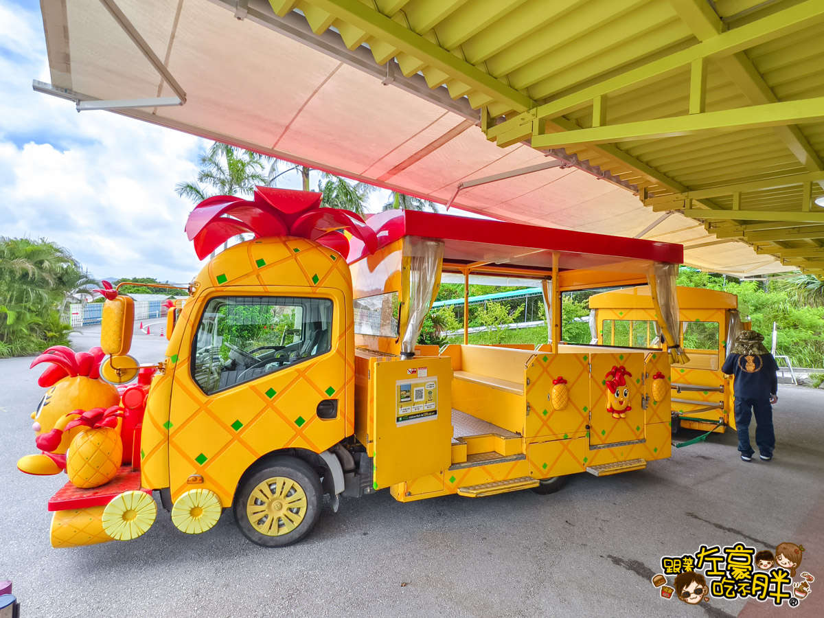 Nago pineapple park,名護,名護鳳梨園,沖繩旅遊,沖繩景點,沖繩自由行
