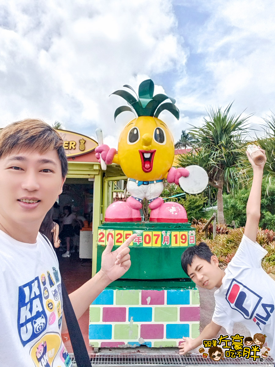 Nago pineapple park,名護,名護鳳梨園,沖繩旅遊,沖繩景點,沖繩自由行