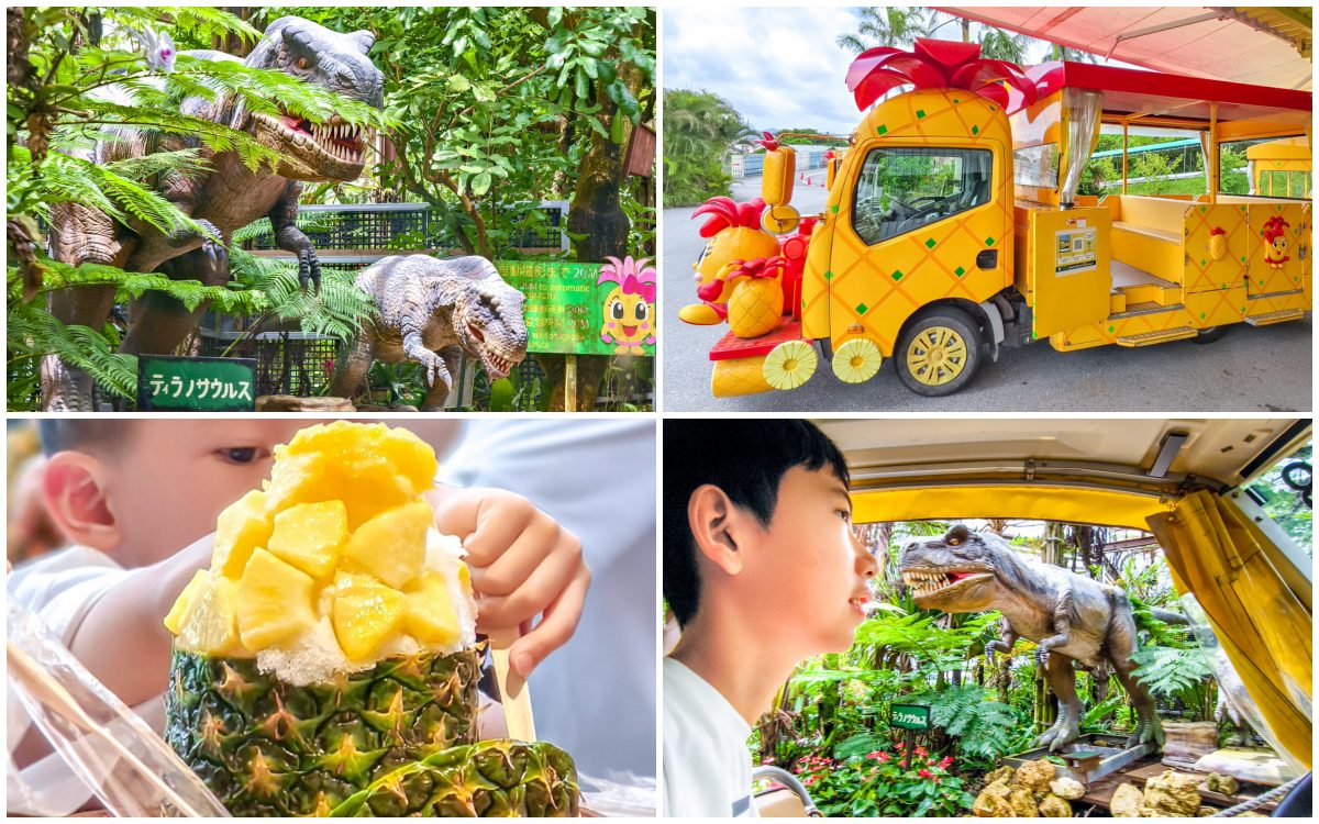 Nago pineapple park,名護,名護鳳梨園,沖繩旅遊,沖繩景點,沖繩自由行