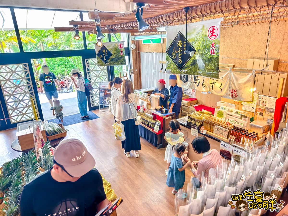 Nago pineapple park,名護,名護鳳梨園,沖繩旅遊,沖繩景點,沖繩自由行