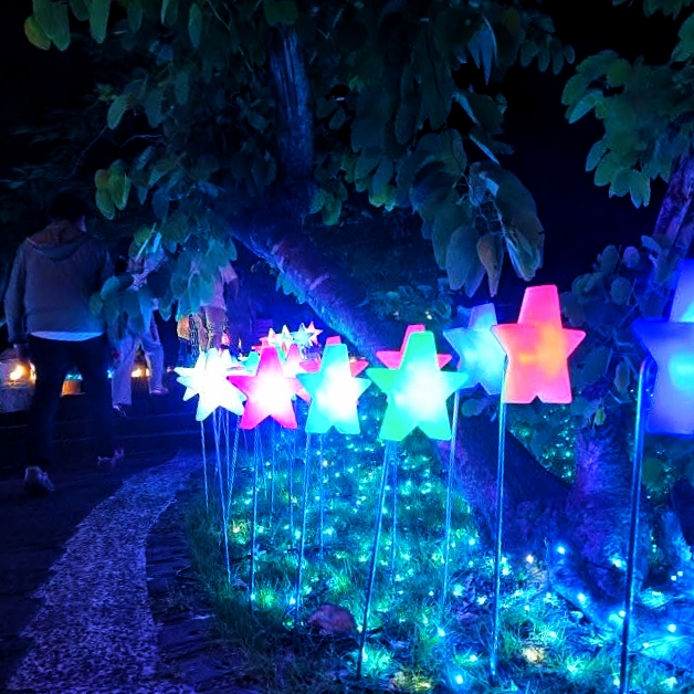  @跟著左豪吃不胖