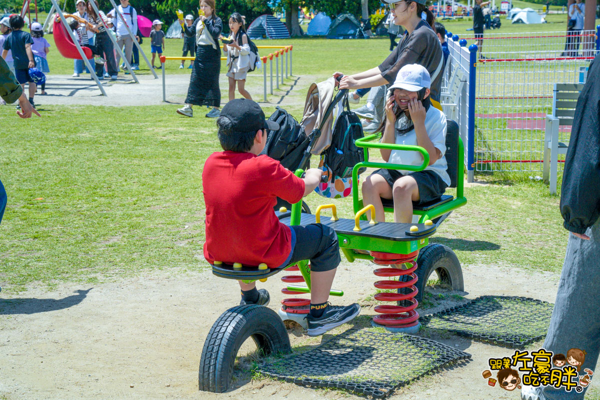 日本旅遊,日本自由行,日本賞花景點,海之中道,福岡景點,粉蝶花景點 日本旅遊,日本自由行,日本賞花景點,海之中道,福岡景點,粉蝶花景點