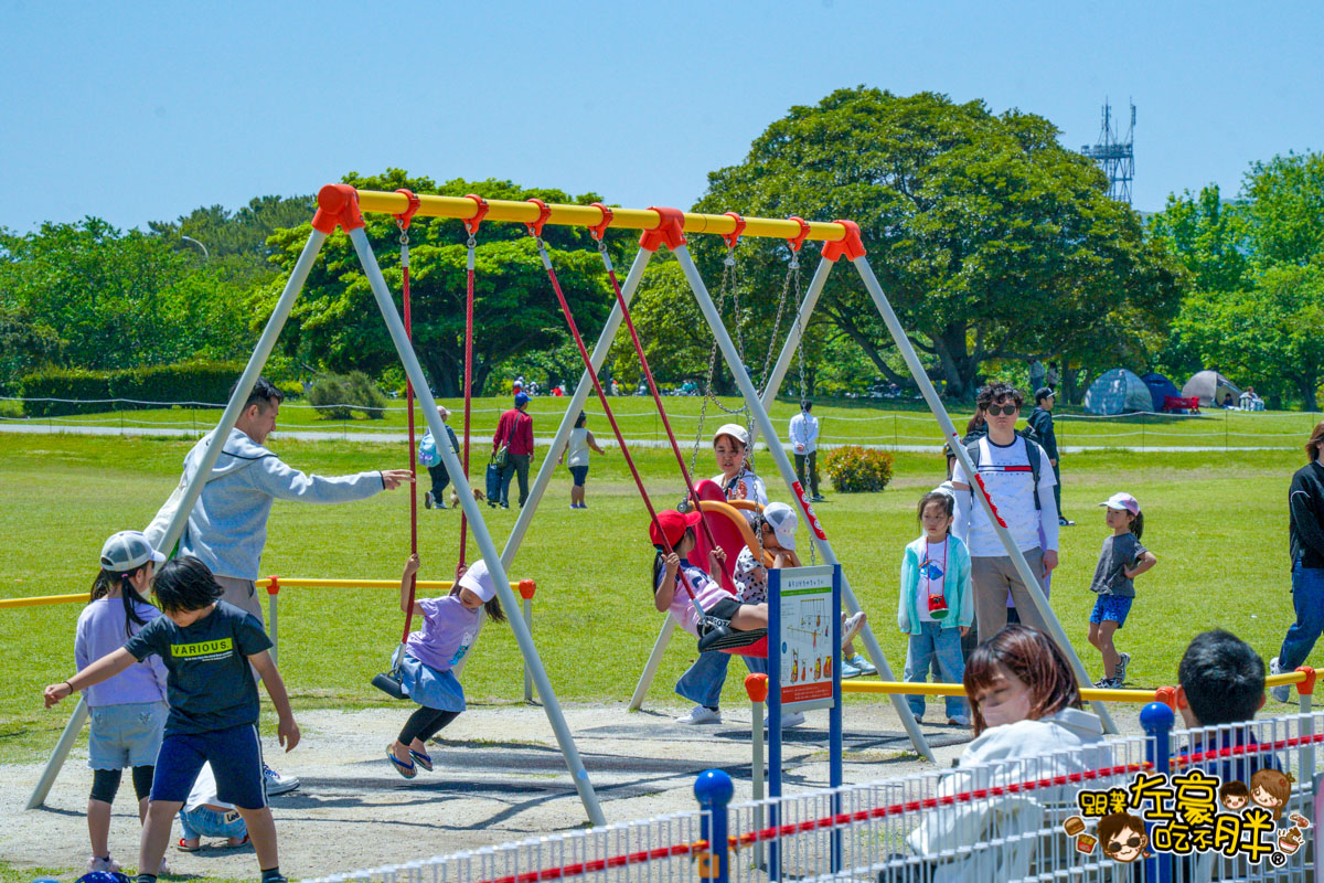日本旅遊,日本自由行,日本賞花景點,海之中道,福岡景點,粉蝶花景點