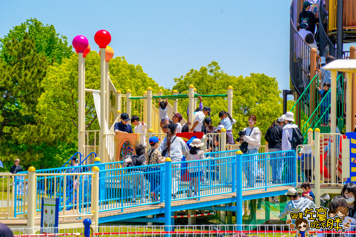 日本旅遊,日本自由行,日本賞花景點,海之中道,福岡景點,粉蝶花景點