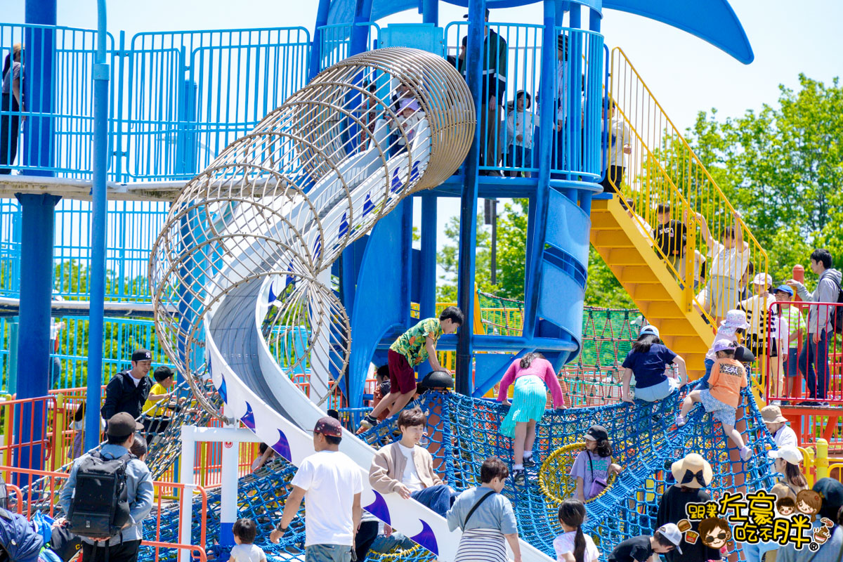 日本旅遊,日本自由行,日本賞花景點,海之中道,福岡景點,粉蝶花景點 日本旅遊,日本自由行,日本賞花景點,海之中道,福岡景點,粉蝶花景點