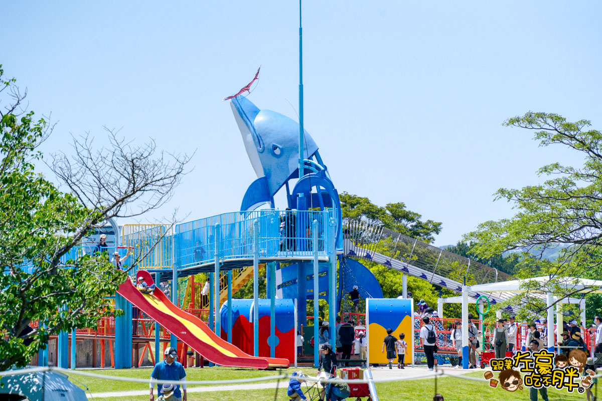 日本旅遊,日本自由行,日本賞花景點,海之中道,福岡景點,粉蝶花景點