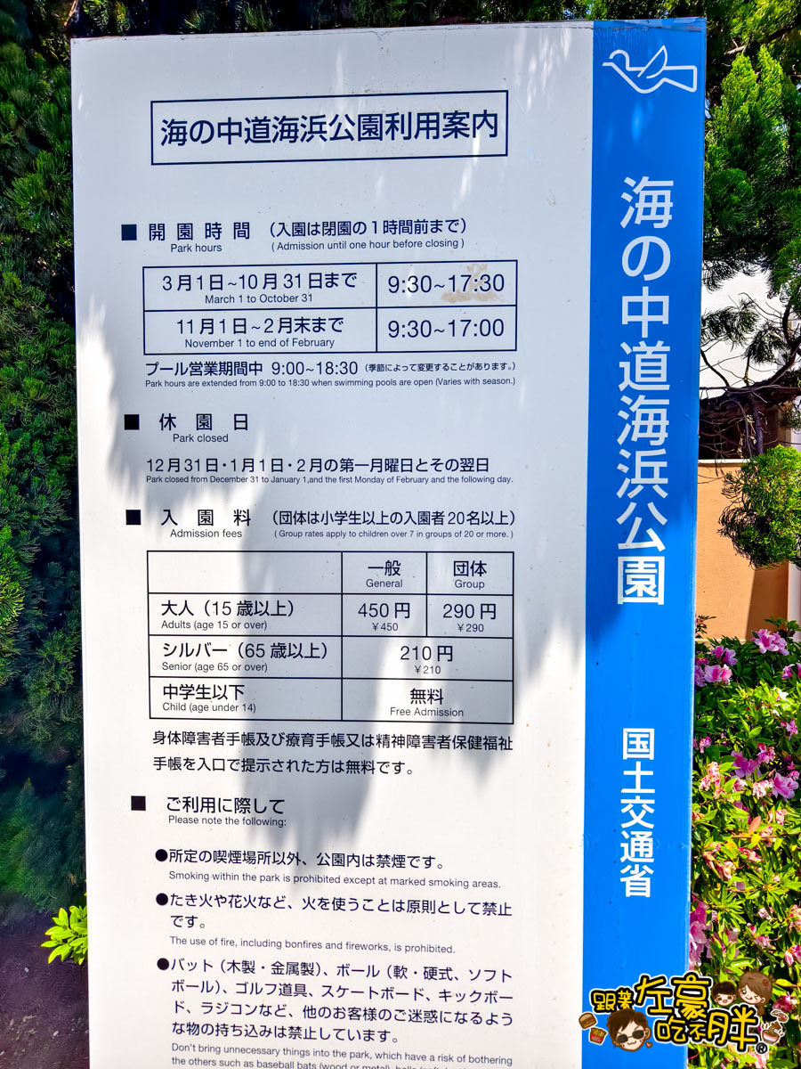 日本旅遊,日本自由行,日本賞花景點,海之中道,福岡景點,粉蝶花景點