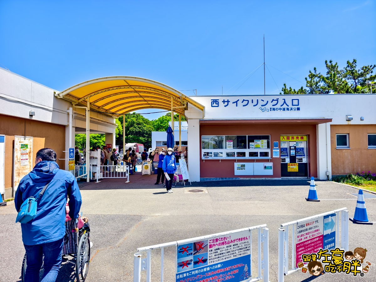 日本旅遊,日本自由行,日本賞花景點,海之中道,福岡景點,粉蝶花景點 日本旅遊,日本自由行,日本賞花景點,海之中道,福岡景點,粉蝶花景點