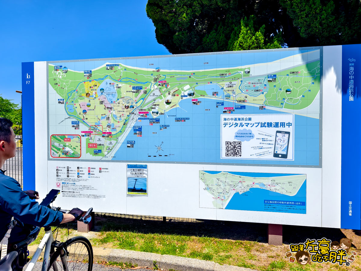 日本旅遊,日本自由行,日本賞花景點,海之中道,福岡景點,粉蝶花景點 日本旅遊,日本自由行,日本賞花景點,海之中道,福岡景點,粉蝶花景點