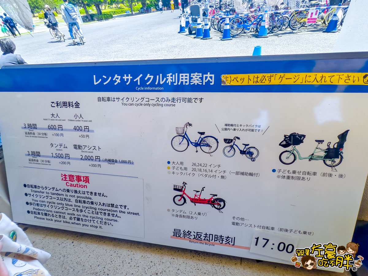 日本旅遊,日本自由行,日本賞花景點,海之中道,福岡景點,粉蝶花景點