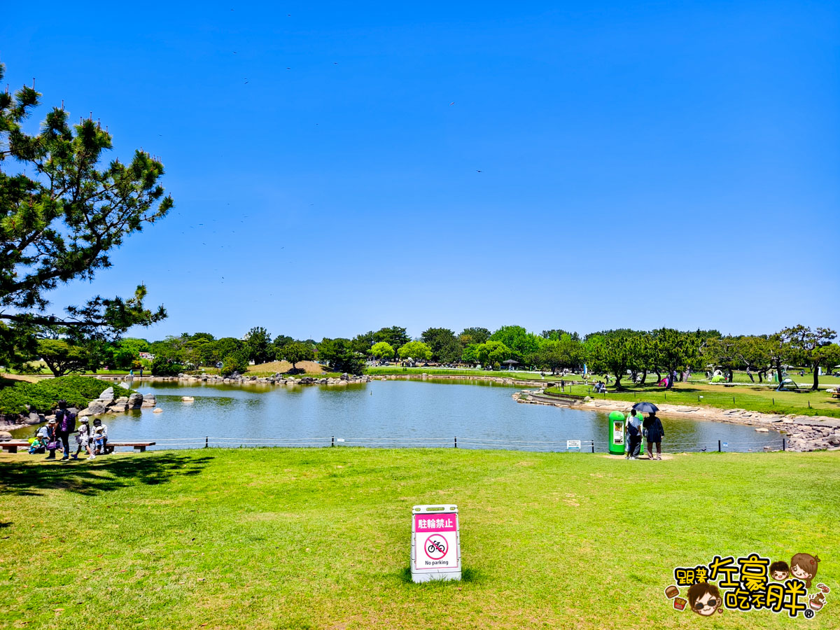 日本旅遊,日本自由行,日本賞花景點,海之中道,福岡景點,粉蝶花景點