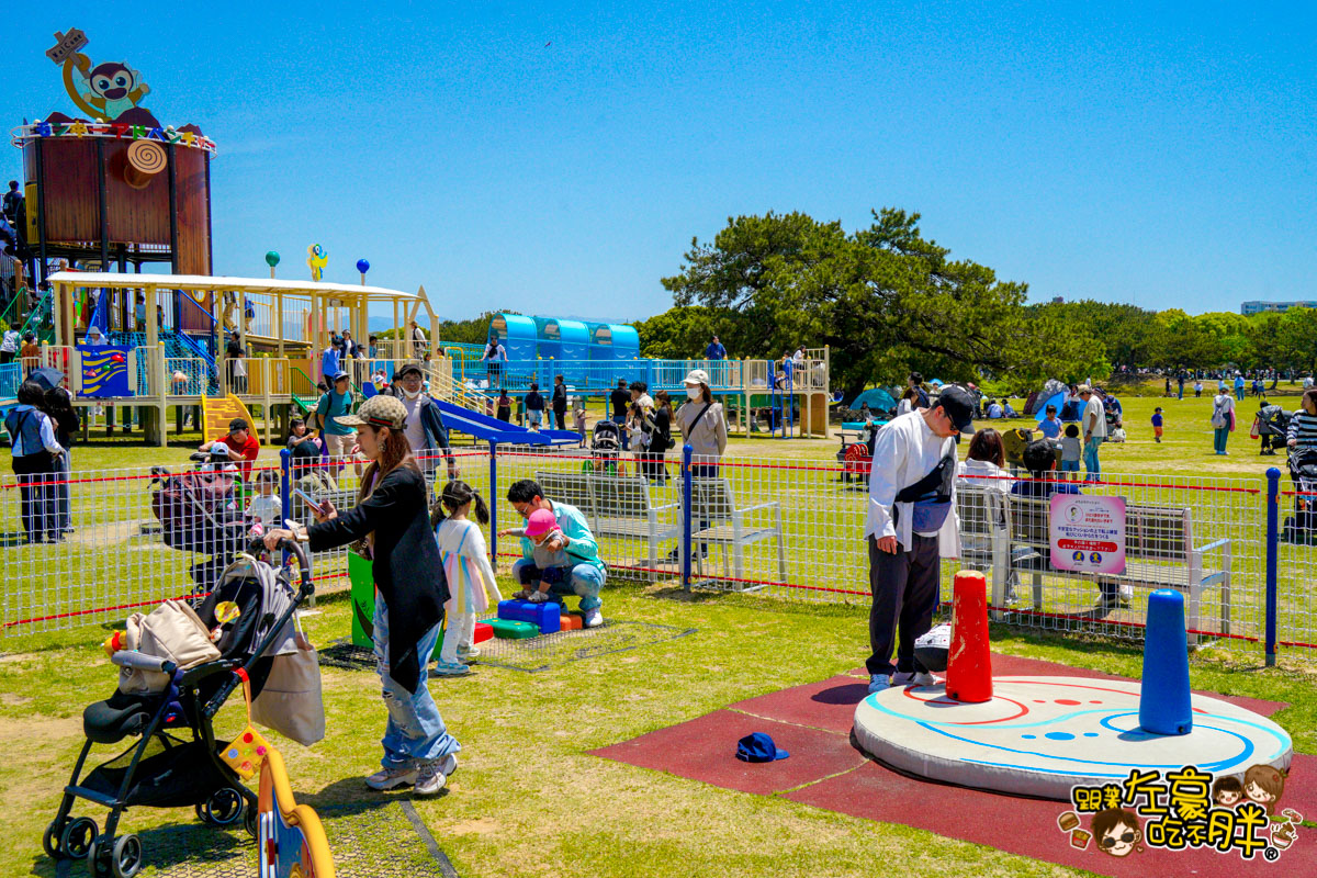 日本旅遊,日本自由行,日本賞花景點,海之中道,福岡景點,粉蝶花景點