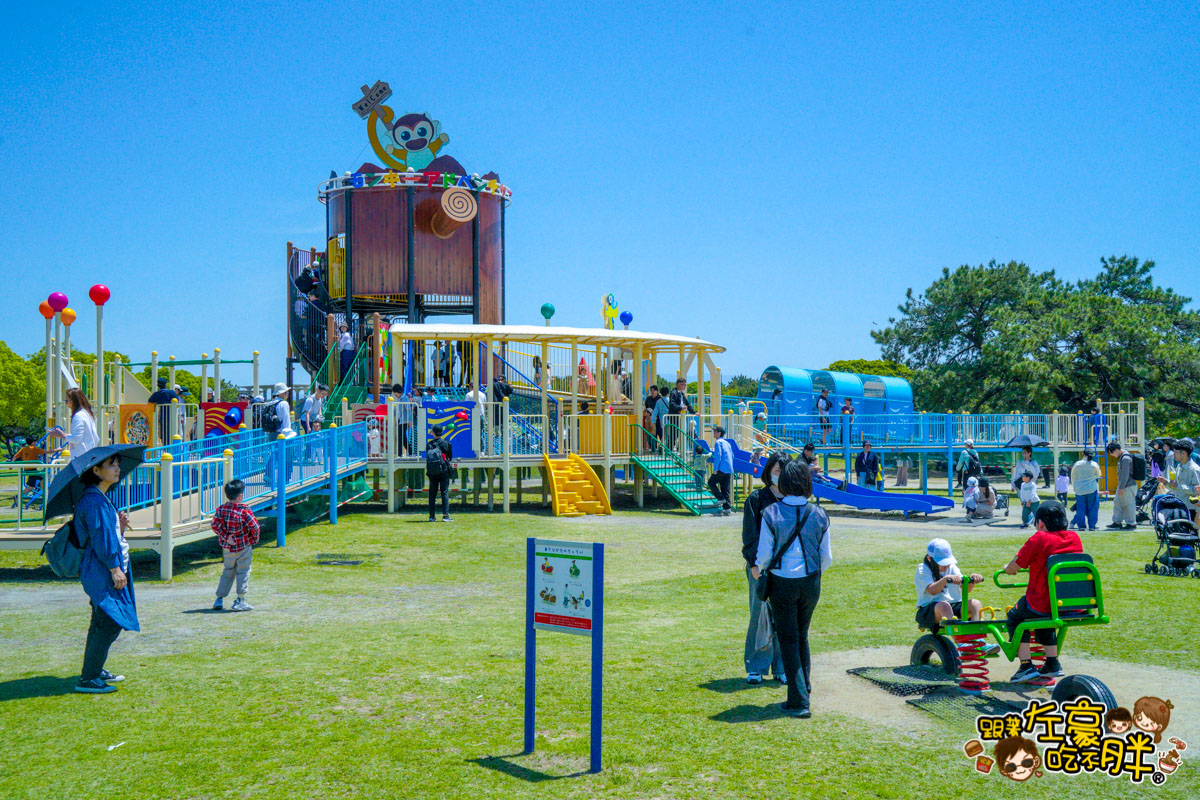 日本旅遊,日本自由行,日本賞花景點,海之中道,福岡景點,粉蝶花景點