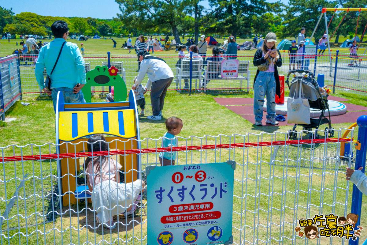 日本旅遊,日本自由行,日本賞花景點,海之中道,福岡景點,粉蝶花景點 日本旅遊,日本自由行,日本賞花景點,海之中道,福岡景點,粉蝶花景點