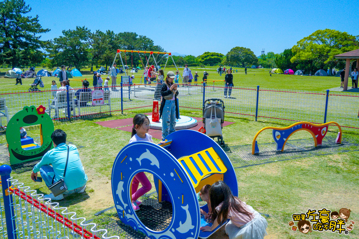 日本旅遊,日本自由行,日本賞花景點,海之中道,福岡景點,粉蝶花景點 日本旅遊,日本自由行,日本賞花景點,海之中道,福岡景點,粉蝶花景點