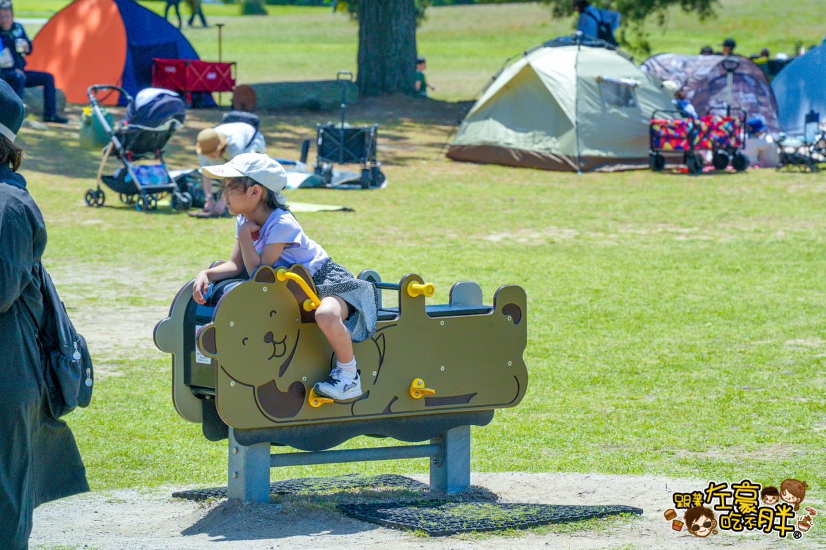 日本旅遊,日本自由行,日本賞花景點,海之中道,福岡景點,粉蝶花景點