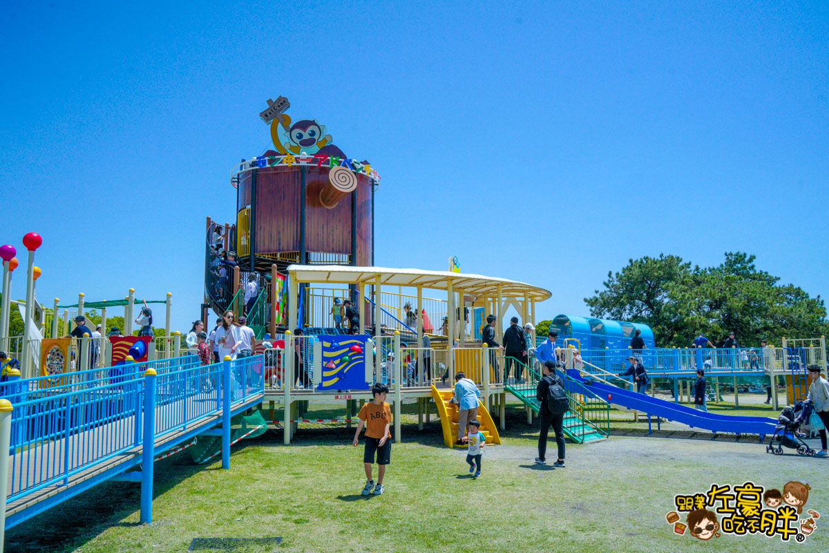 日本旅遊,日本自由行,日本賞花景點,海之中道,福岡景點,粉蝶花景點