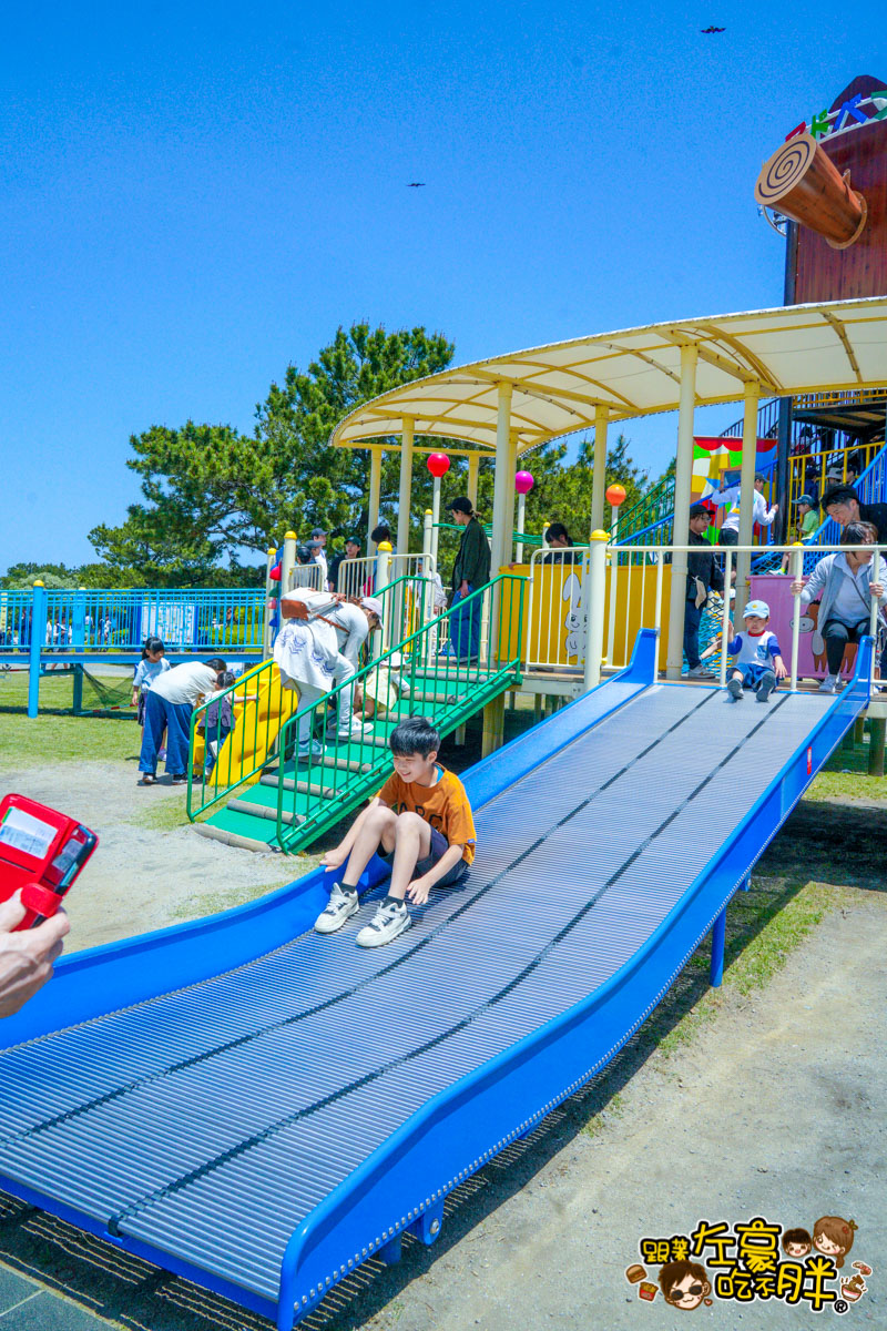 日本旅遊,日本自由行,日本賞花景點,海之中道,福岡景點,粉蝶花景點 日本旅遊,日本自由行,日本賞花景點,海之中道,福岡景點,粉蝶花景點