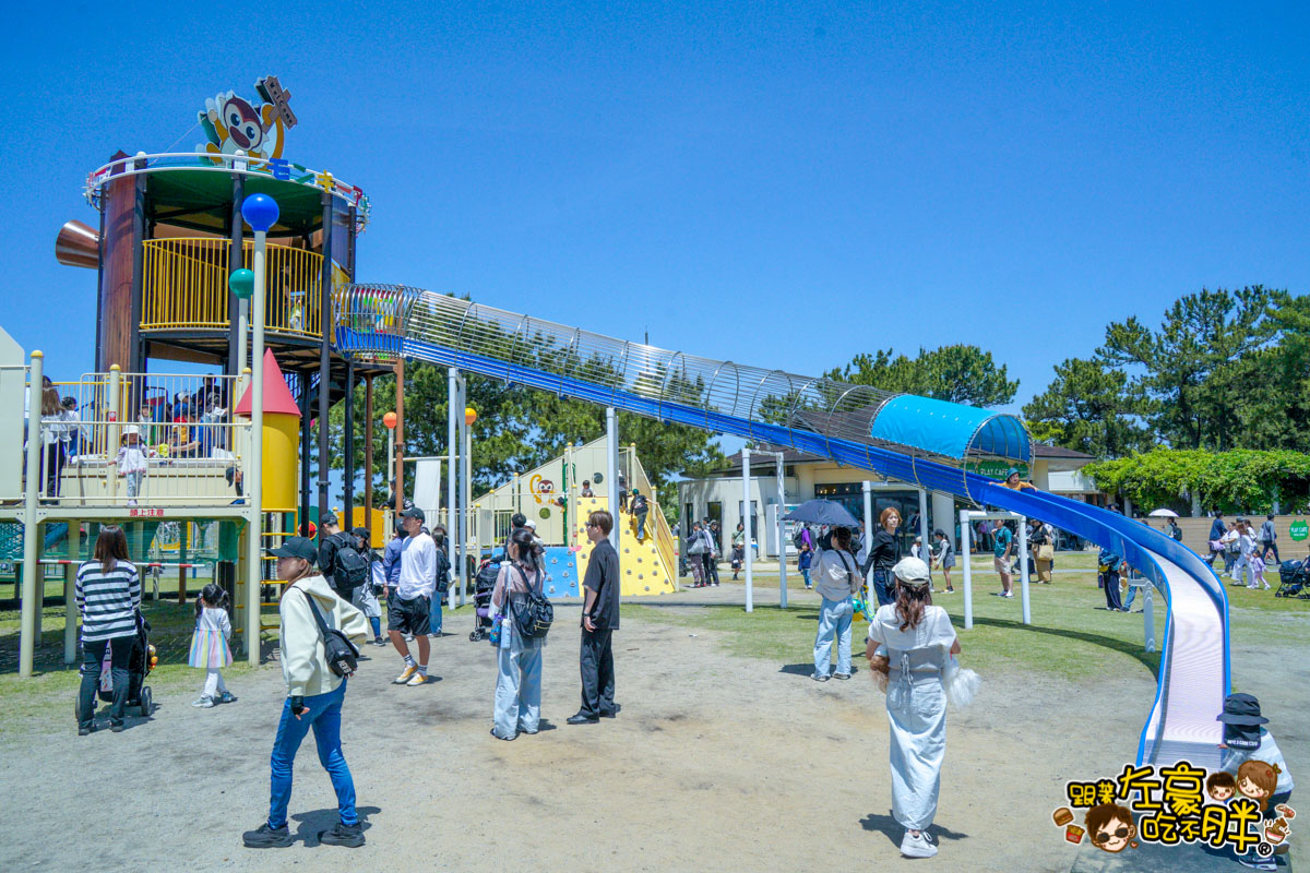 日本旅遊,日本自由行,日本賞花景點,海之中道,福岡景點,粉蝶花景點