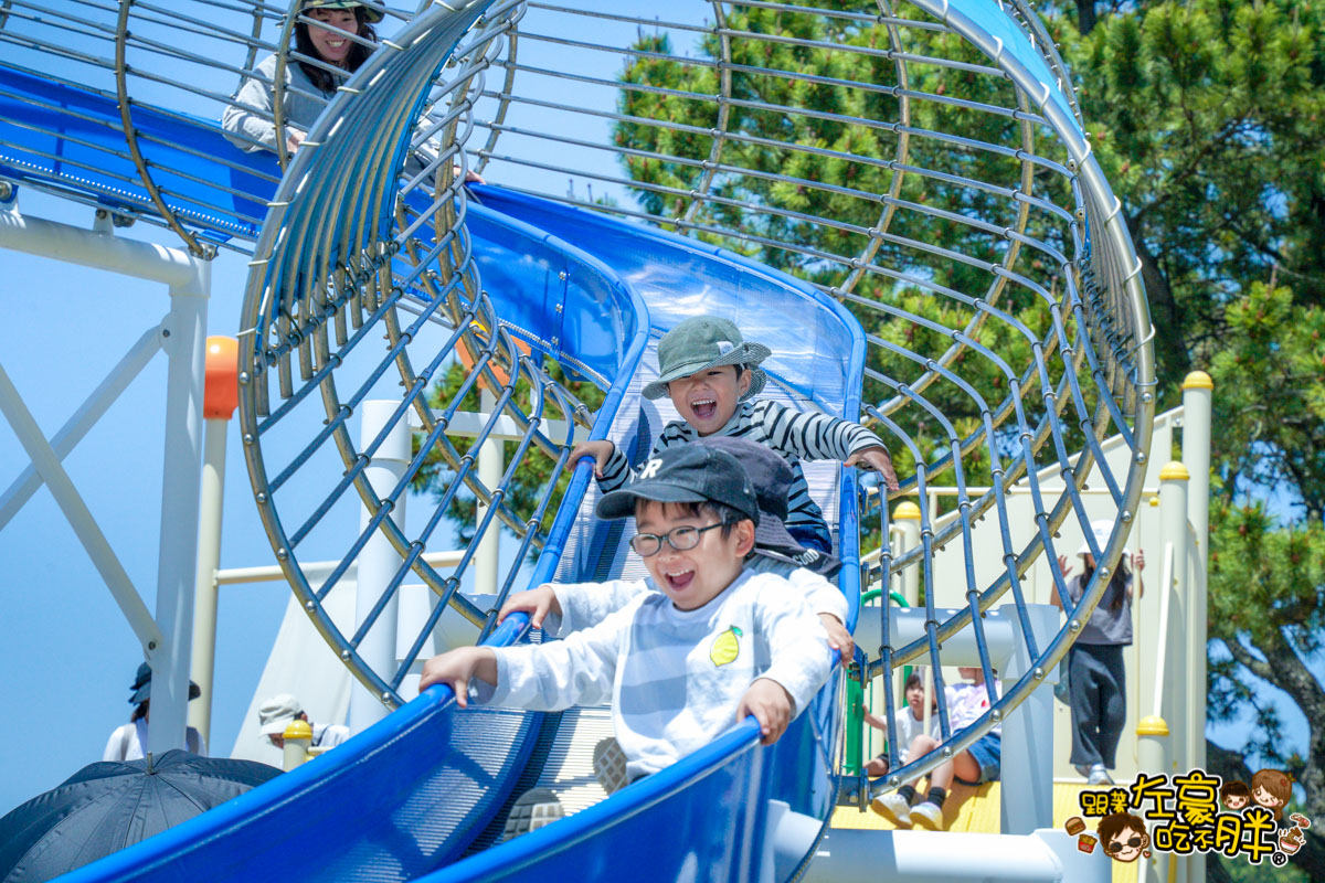 日本旅遊,日本自由行,日本賞花景點,海之中道,福岡景點,粉蝶花景點 日本旅遊,日本自由行,日本賞花景點,海之中道,福岡景點,粉蝶花景點