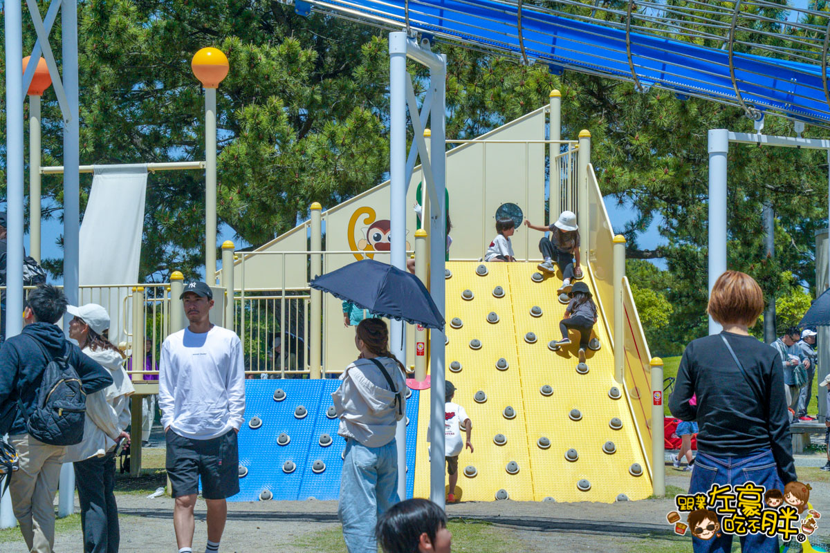 日本旅遊,日本自由行,日本賞花景點,海之中道,福岡景點,粉蝶花景點